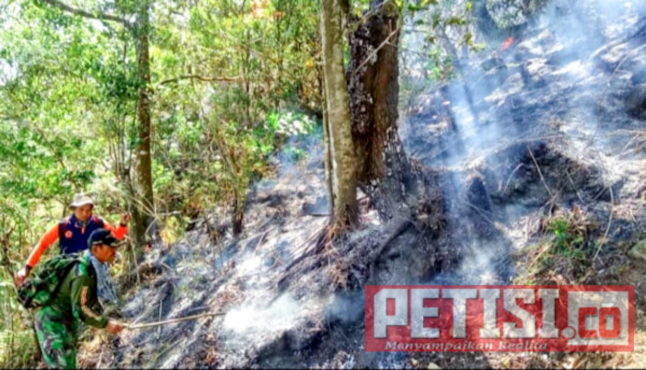 Kasus Kebakaran Hutan Di Kabupaten Mojokerto Meningkat Petisi